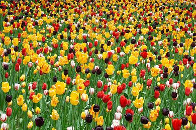 NSO高级会员游戏库今日更新 《水上摩托64》入库