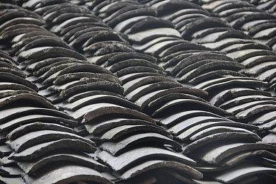 《超级肌肉猫》Steam试玩发布 爆笑2D横版动作新游