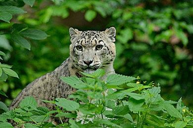 任天堂小贴士：请在5℃到35℃的环境下使用Switch